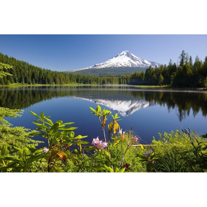 Reflection Of Mount Hood In Trillium Lake In The Oregon Cascades; Oregon United States Of America Print Image 2