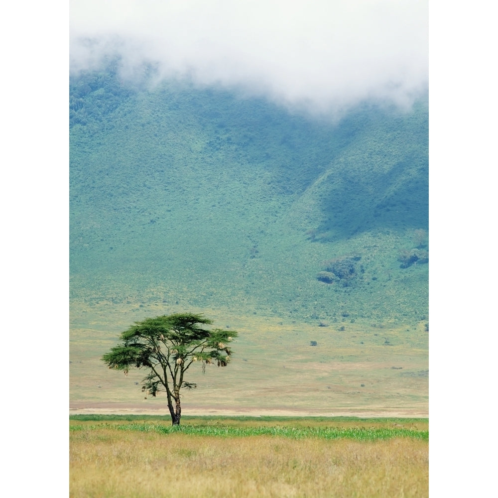 Ngorongoro Crater Poster Print Image 2