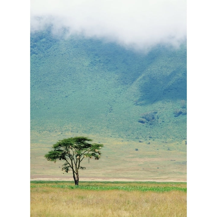 Ngorongoro Crater Poster Print Image 1