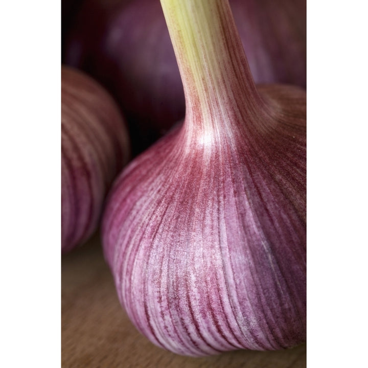 Garlic Bulbs Poster Print Image 2