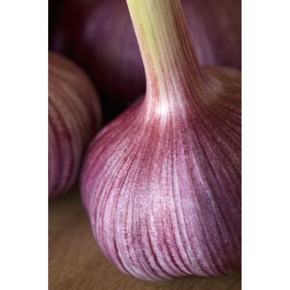 Garlic Bulbs Poster Print Image 1