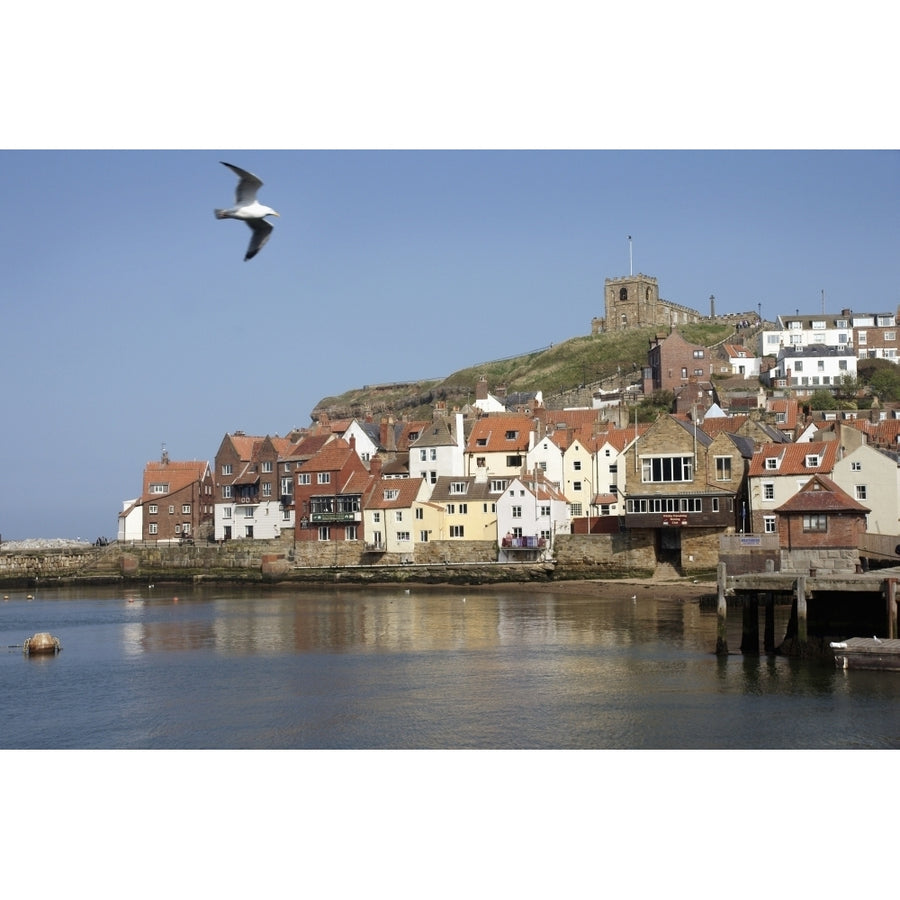 Whitby Harbour Poster Print Image 1