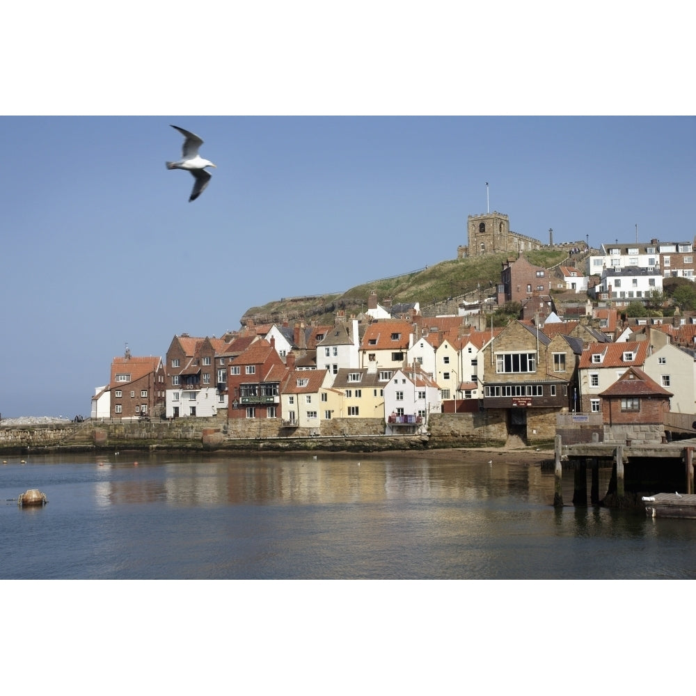 Whitby Harbour Poster Print Image 2