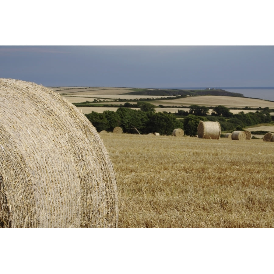 Straw Bales In A Field In East Cork In Munster Region; Guileen County Cork Ireland Poster Print Image 1