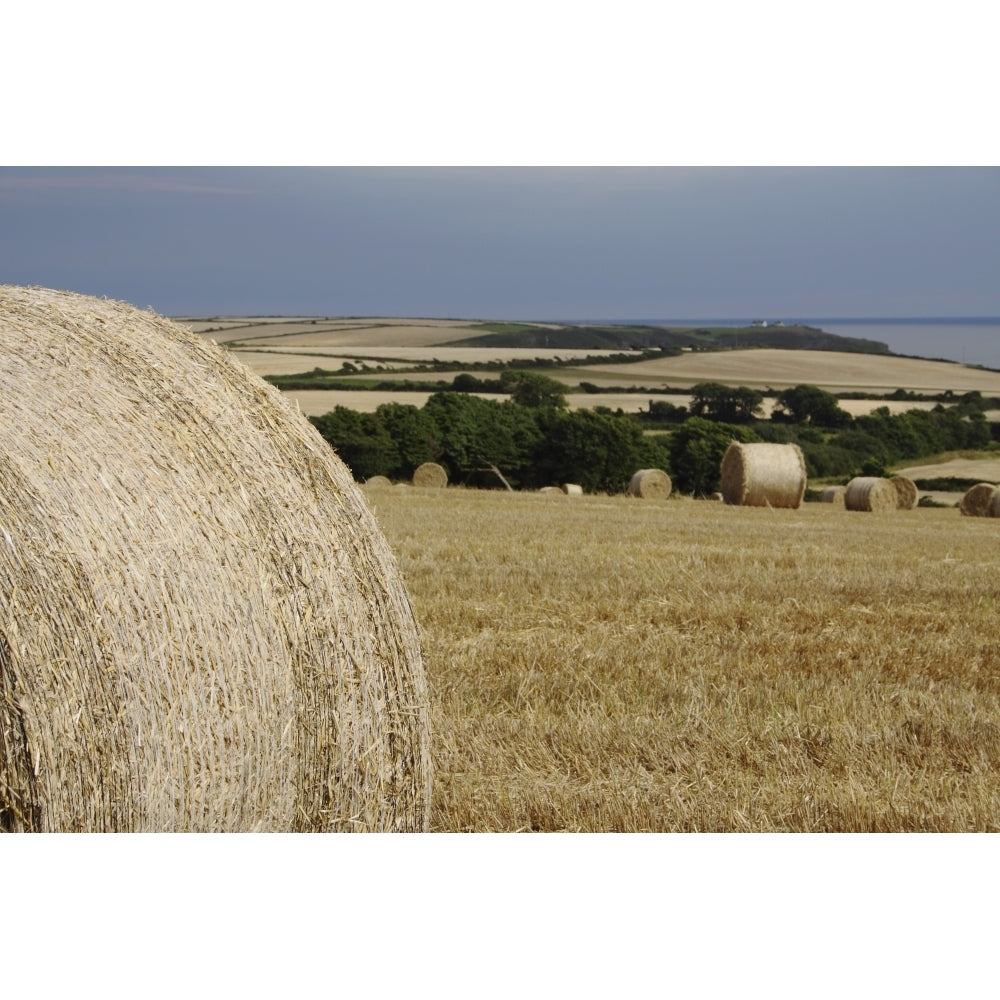 Straw Bales In A Field In East Cork In Munster Region; Guileen County Cork Ireland Poster Print Image 2