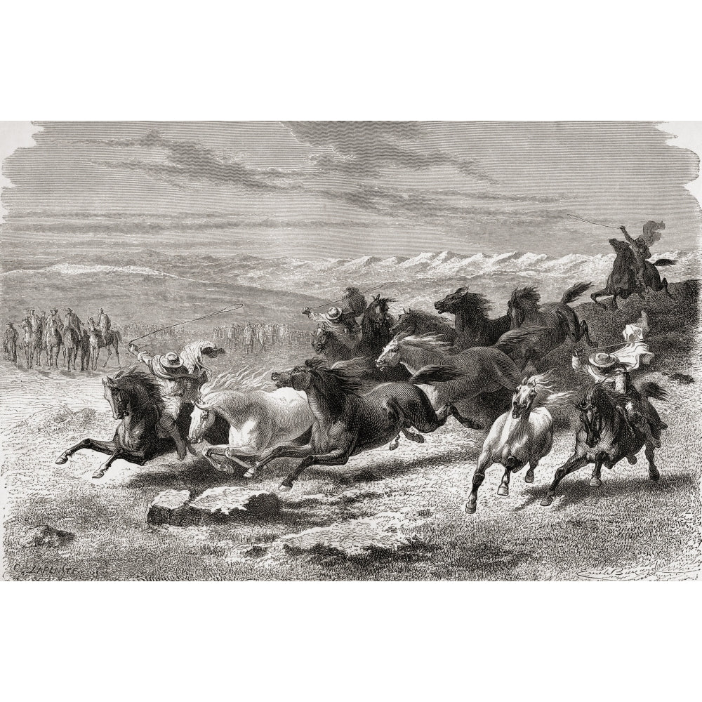 Argentinian Gauchos Rounding Up Wild Horses During The 19Th Century. From El Mundo En La Mano Published 1878. Image 2