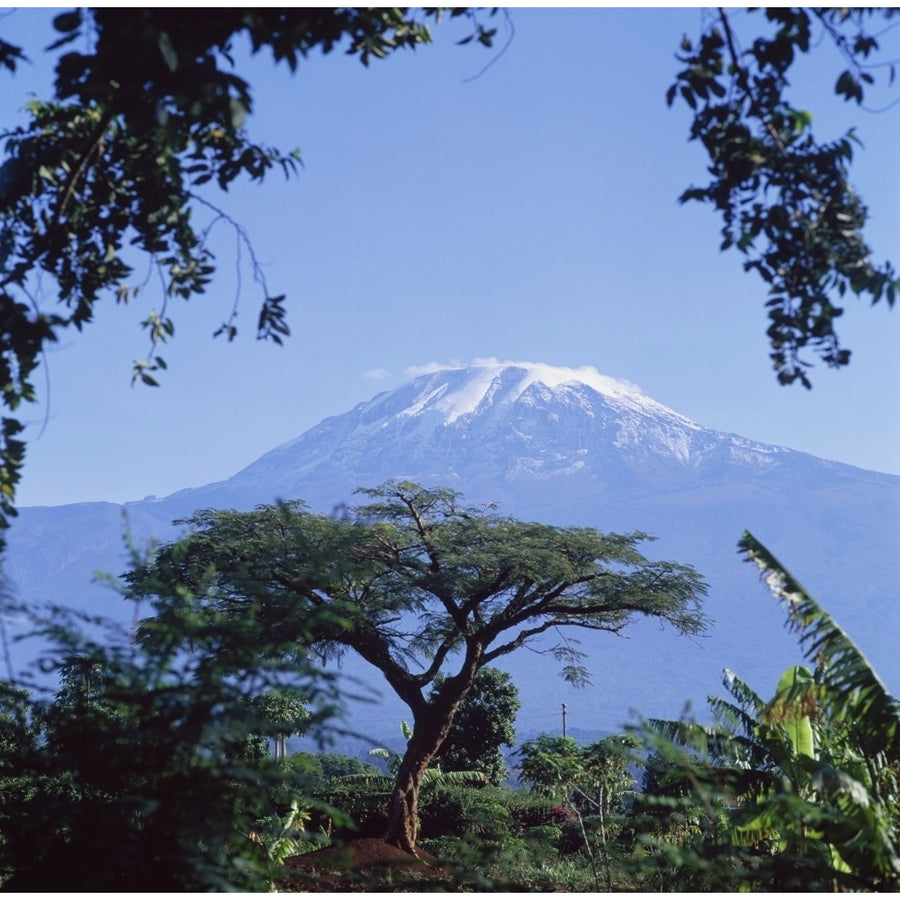 Mt. Kilimanjaro Moshi Tanzania Poster Print Image 1