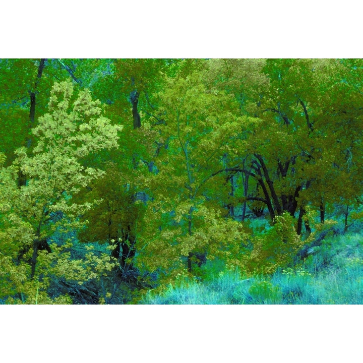 Bright Green Trees And Vegetation Poster Print Image 1