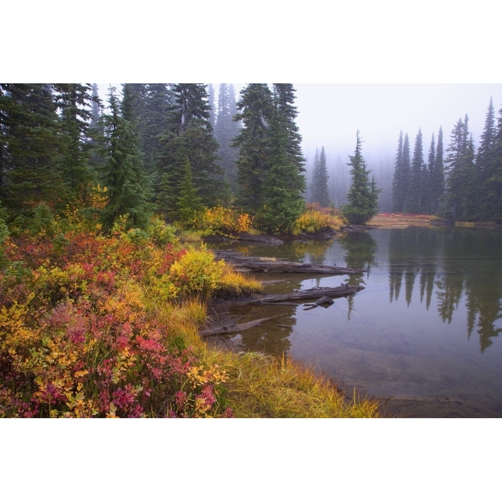 Reflection On Lake In Autumn; Mount Rainier National Park Washington Usa Poster Print Image 1