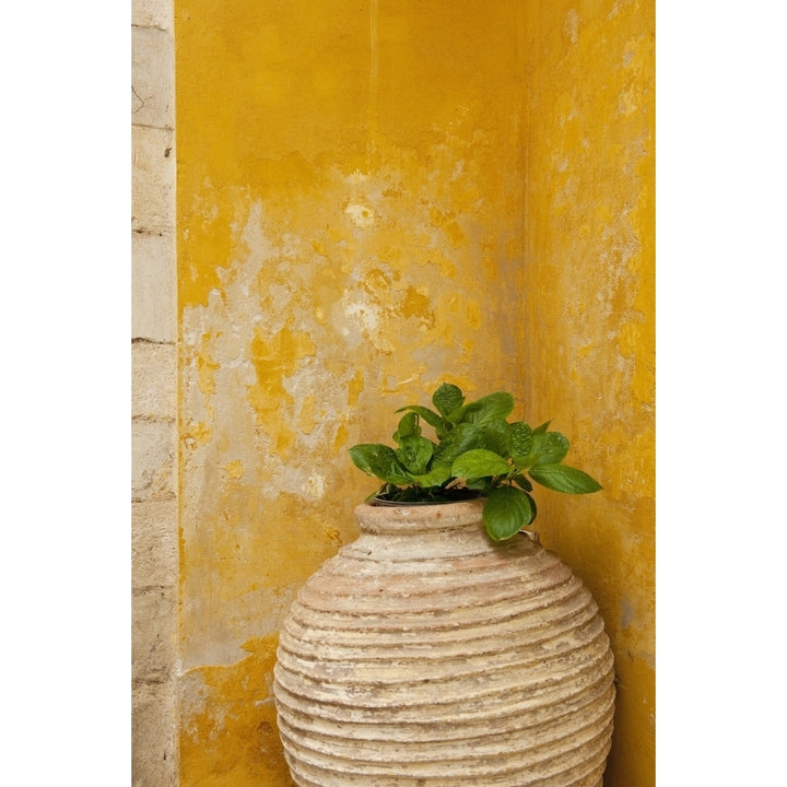 Vase holding a plant against a yellow wall; Chania Crete Greece Poster Print Image 1