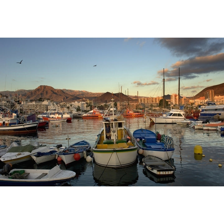 Los Cristianos Habour. Los Cristianos. Tenerife. Canary Islands. Spain Photo Poster Print Image 1