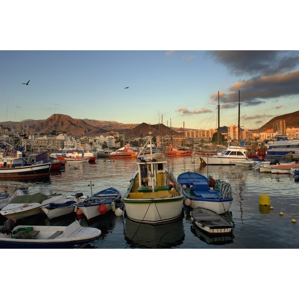 Los Cristianos Habour. Los Cristianos. Tenerife. Canary Islands. Spain Photo Poster Print Image 1