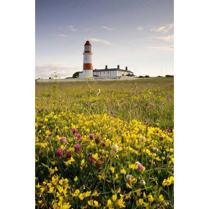 Souter Lighthouse; South Shields Marsden South Tyneside Tyne And Wear England Poster Print Image 1