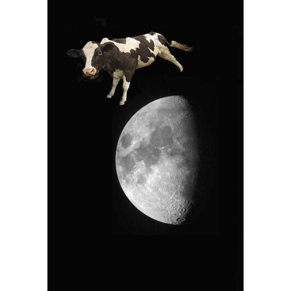 The Cow Jumped Over The Moon; Northumberland England Poster Print Image 1