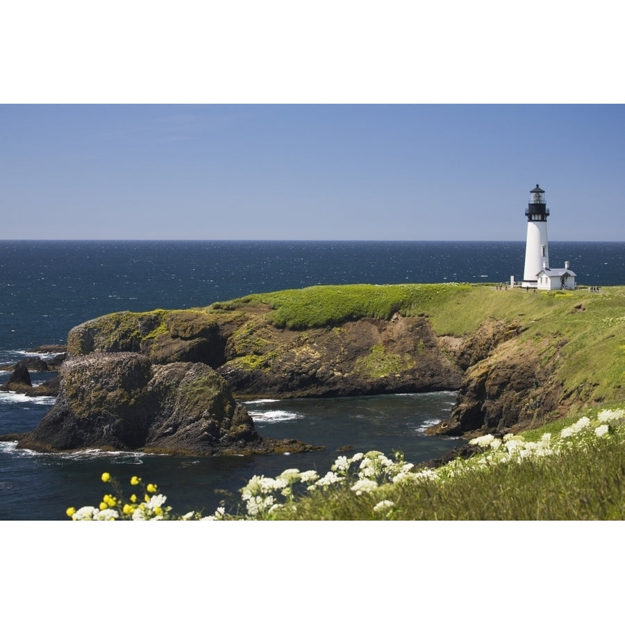 White Lighthouse On The Ocean With Blue Sky And Wildflowers; Newport Oregon United States Of America Print Image 1