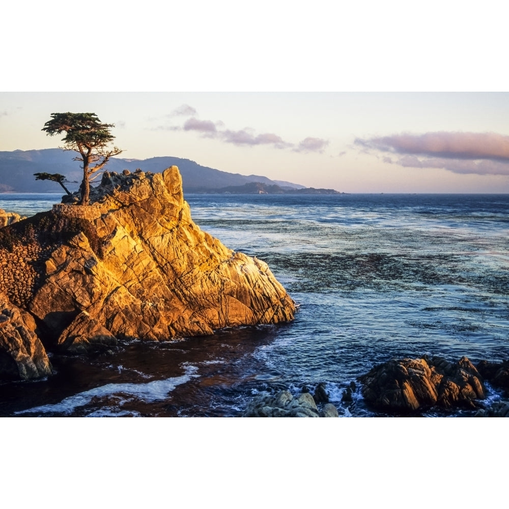 California Big Sur Coast Pebble Beach Evening Light On Lone Cypress Tree And Rugged Rock. by Michael Howell / Design Image 1