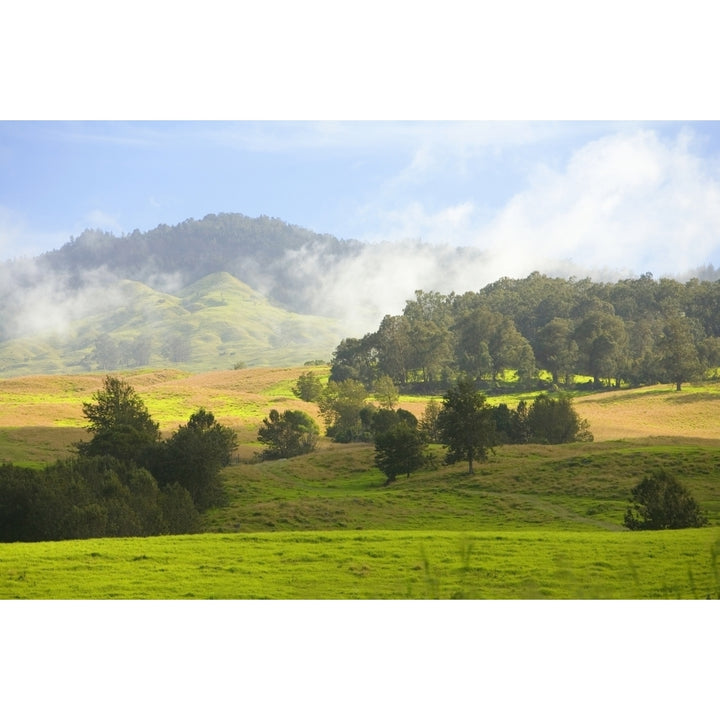 USA Hawaii Islands Rolling Green Hills; Maui Upcountry Scenic Near Ulupalakua Poster Print Image 1