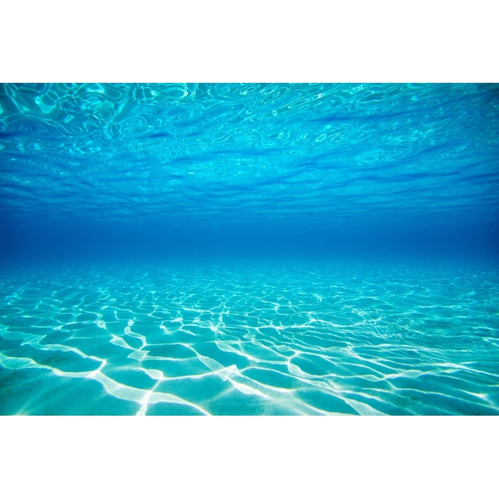 French Polynesia Underwater Sandy Bottom And Surface Reflection. Poster Print Image 1