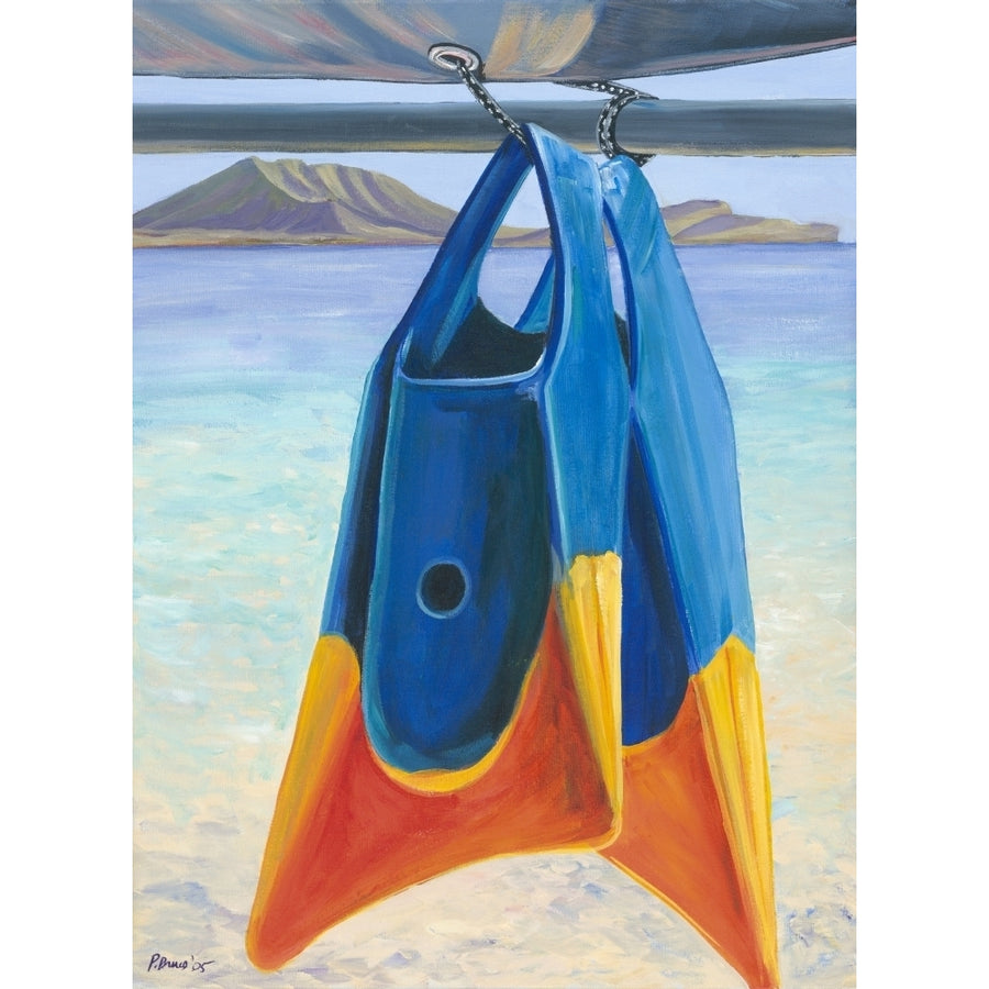 Fins Colorful Swim Fins Hanging From Sailboat Tie . by Patti Bruce / Design Pics Image 1