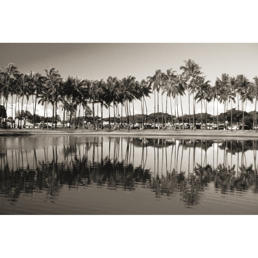 Hawaii Oahu Ala Moana Beach Park Line Of Palm Trees And Reflections In Pond Image 1