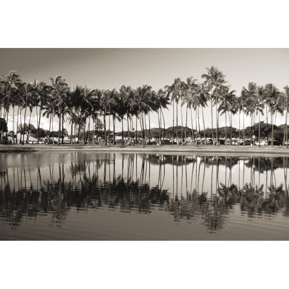 Hawaii Oahu Ala Moana Beach Park Line Of Palm Trees And Reflections In Pond Image 2