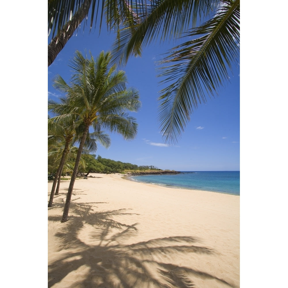 Hawaii Lanai Hulopoe Beach Palm Trees And Shadows Along Sandy Beach And Turquoise Ocean. Poster Print Image 1