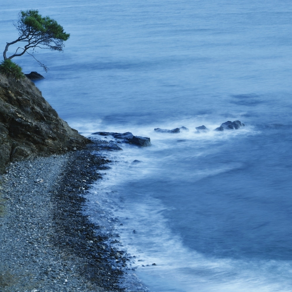 Isolated Tree On A Cliff Overlooking A Pebble Beach Along The Coast; Benalmadena-Costa Malaga Andalusia Spain Image 2