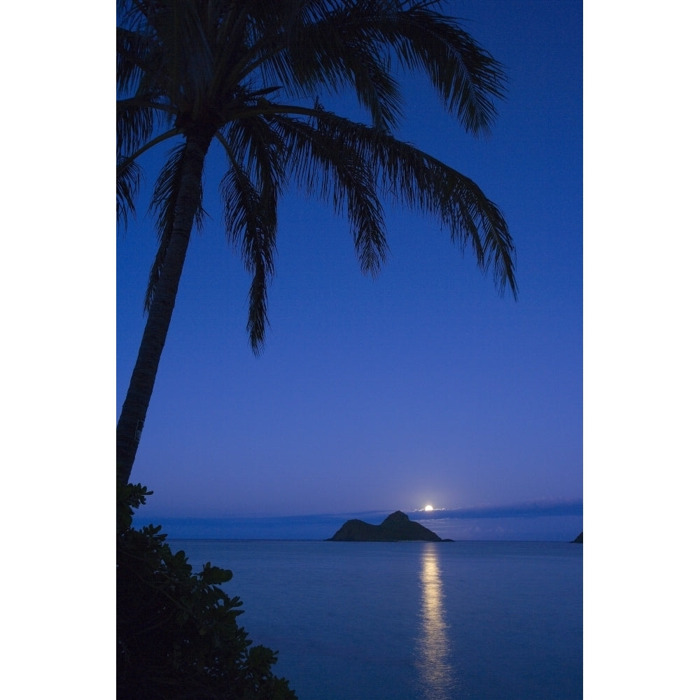 USA Hawaii Oahu Palm tree over Pacific ocean with Mokulua island in background; Lanikai Poster Print Image 1