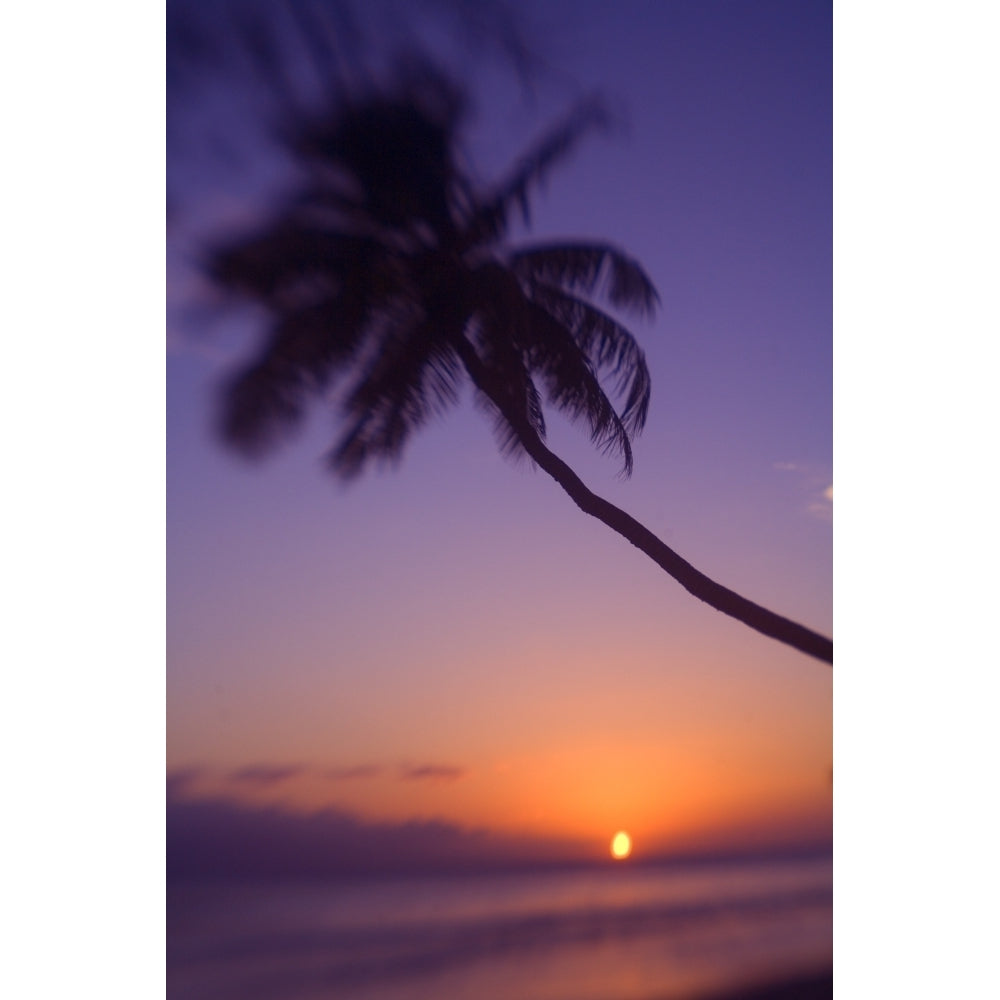 Hawaii Maui Olowalu Palm Tree Over The Beach At Sunset. Poster Print Image 1