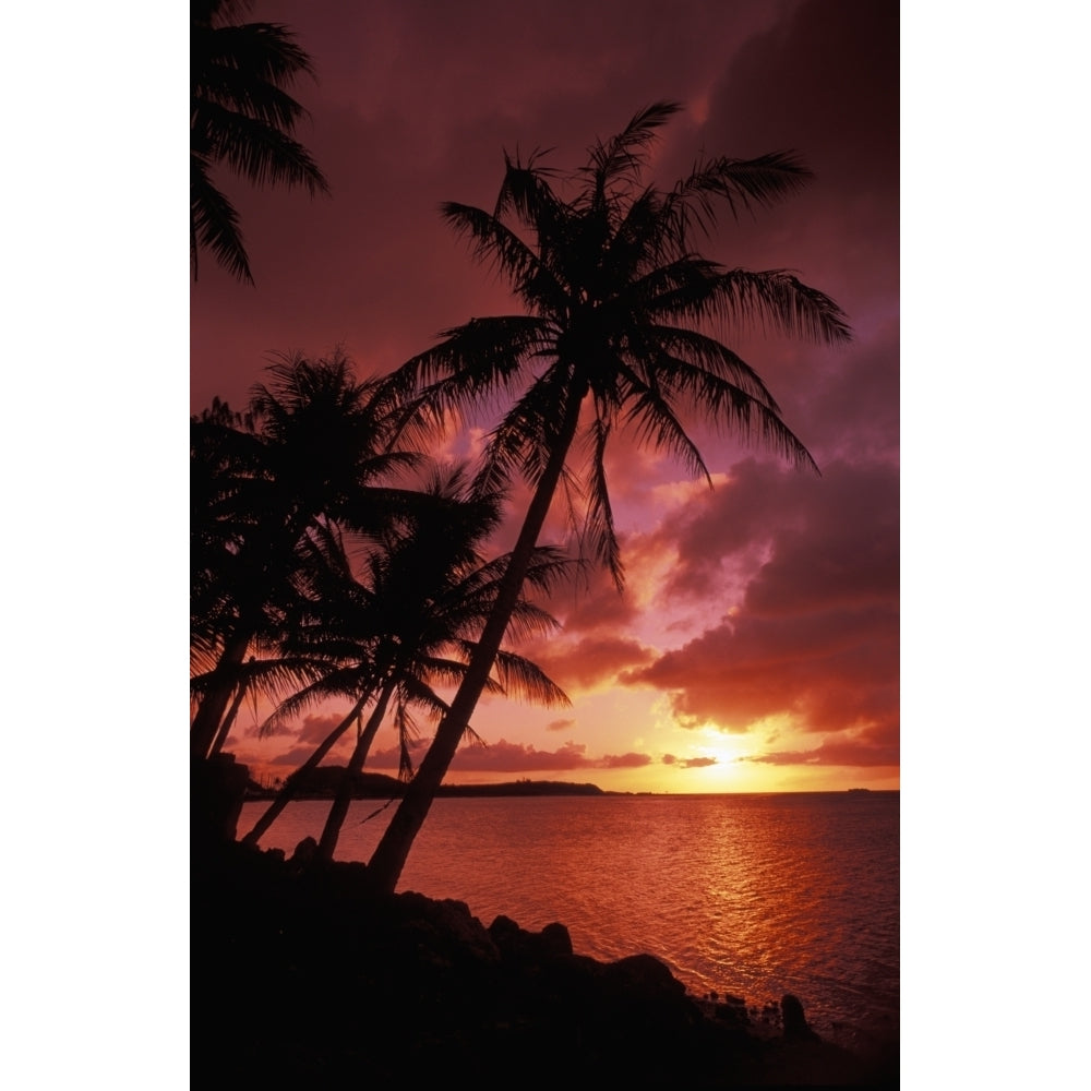 Guam Tumon Bay Bright Red Sunset And Silhouetted Palms On Beach. Poster Print Image 1