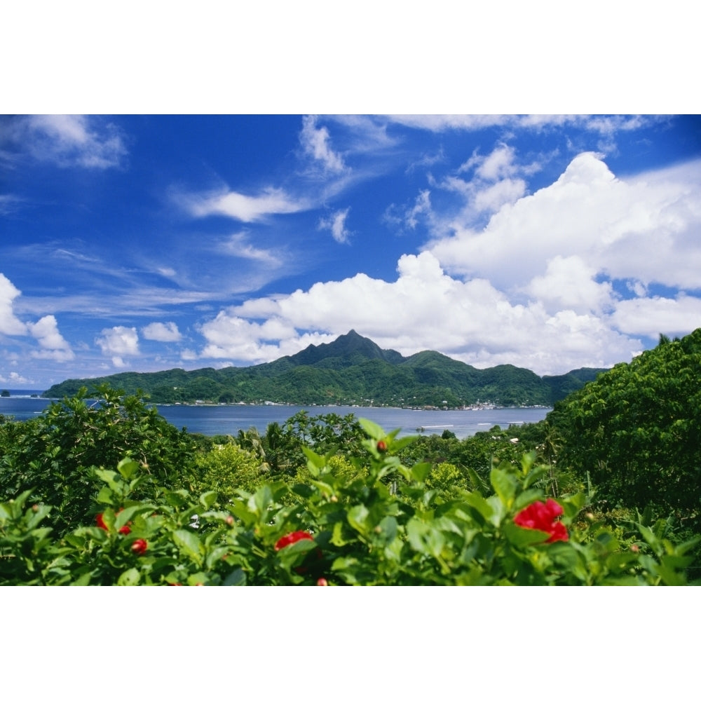 American Samoa Pago Pago Harbor Greenery And Flowers Clouds In Sky Poster Print Image 1