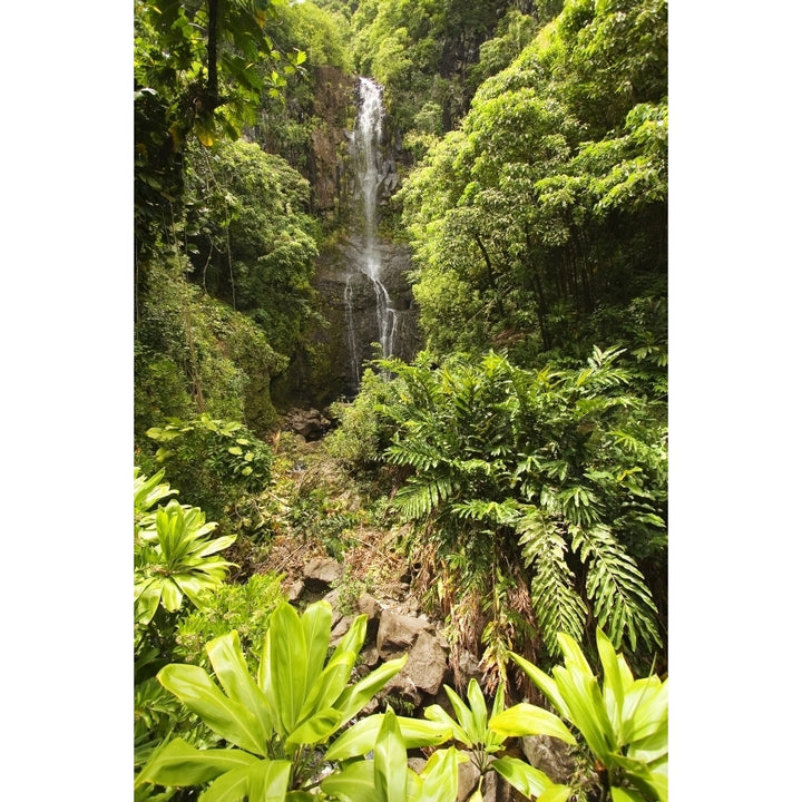 Hawaii Maui Kipahulu Hana Coast Wailua Falls Surrounded By Foliage. Poster Print Image 1