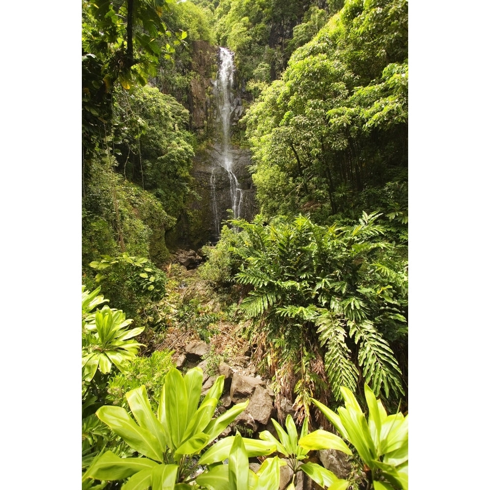 Hawaii Maui Kipahulu Hana Coast Wailua Falls Surrounded By Foliage. Poster Print Image 2