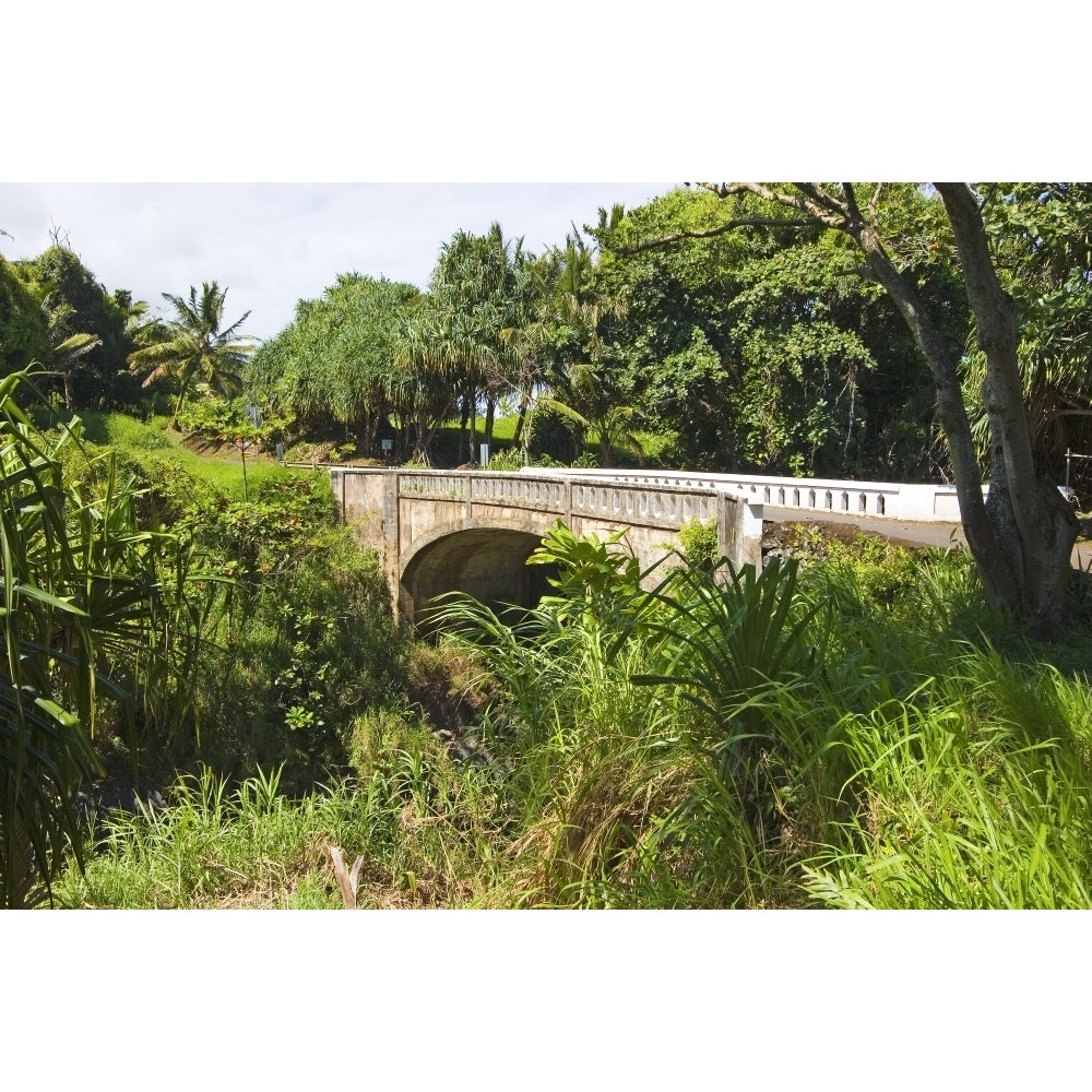 Hawaii Maui Hana Kipahulu Seven Sacred Pools Oheo Gulch Old Bridge Poster Print Image 2