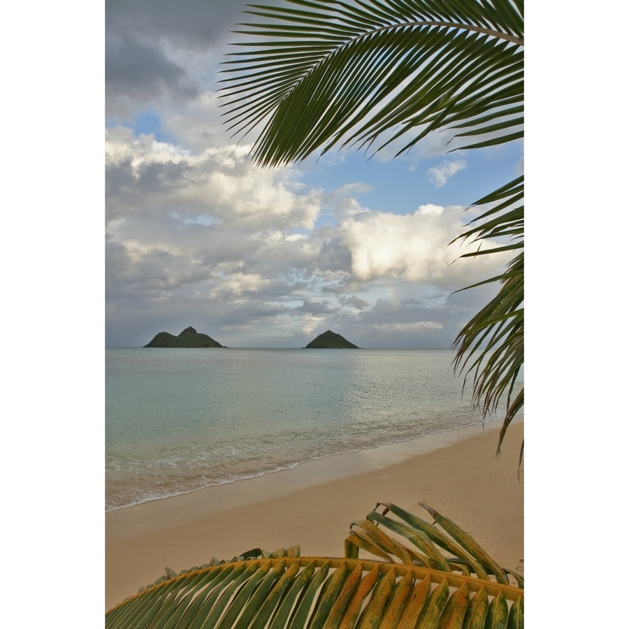 Hawaii Oahu Lanikai Late Afternoon View Of The Mokulua Islands Framed With Palm Fronds. Poster Print Image 1