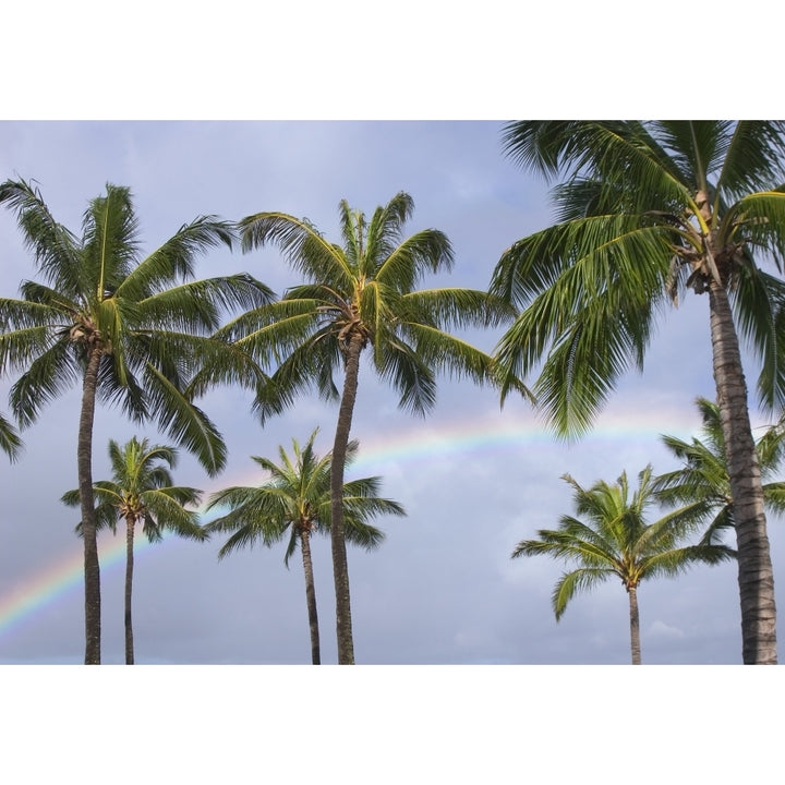 Hi Oahu Rainbow And Coconut Palm Trees Over Pearl Harbor. Poster Print Image 1