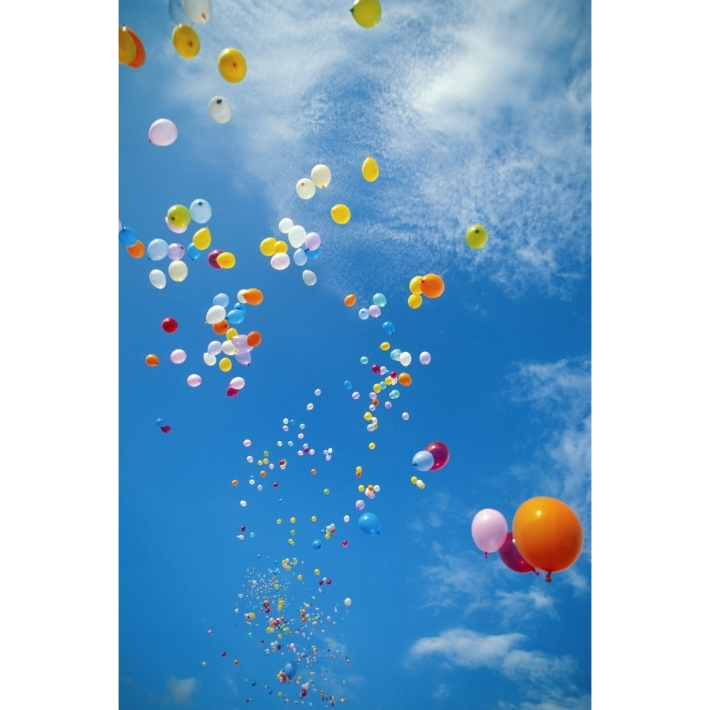 Hawaii Colorful Balloons Float In The Air Against A Blue Sky With White Clouds Poster Print Image 1