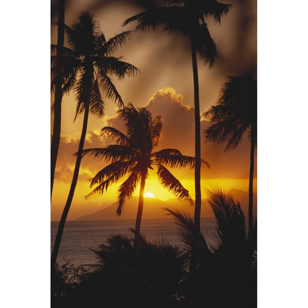 French Polynesia Tahiti Palm Trees Silhouetted By A Vibrant Sunset. Poster Print Image 2