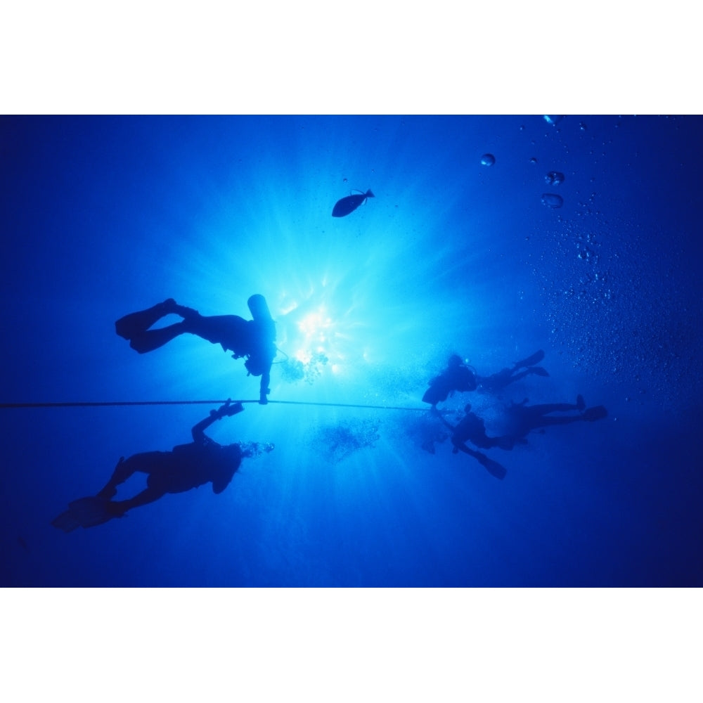 Hawaii Oahu Silhouette Of Scuba Divers Near The Surface Above Mahi Wreck Ascending The Anchor Line. Print Image 1