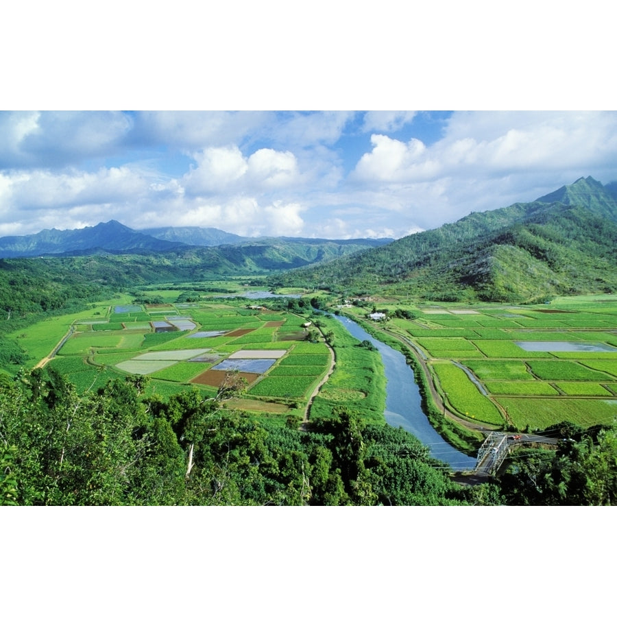 Hawaii Kauai Hanalei Valley Taro Fields And Wildlife Refuge. Poster Print Image 1