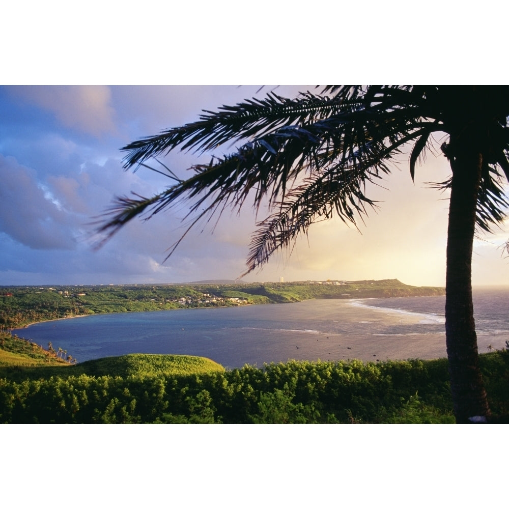 Guam View Of Pago Bay From University Of Guam Silhouette Of Palm Tree Poster Print Image 2