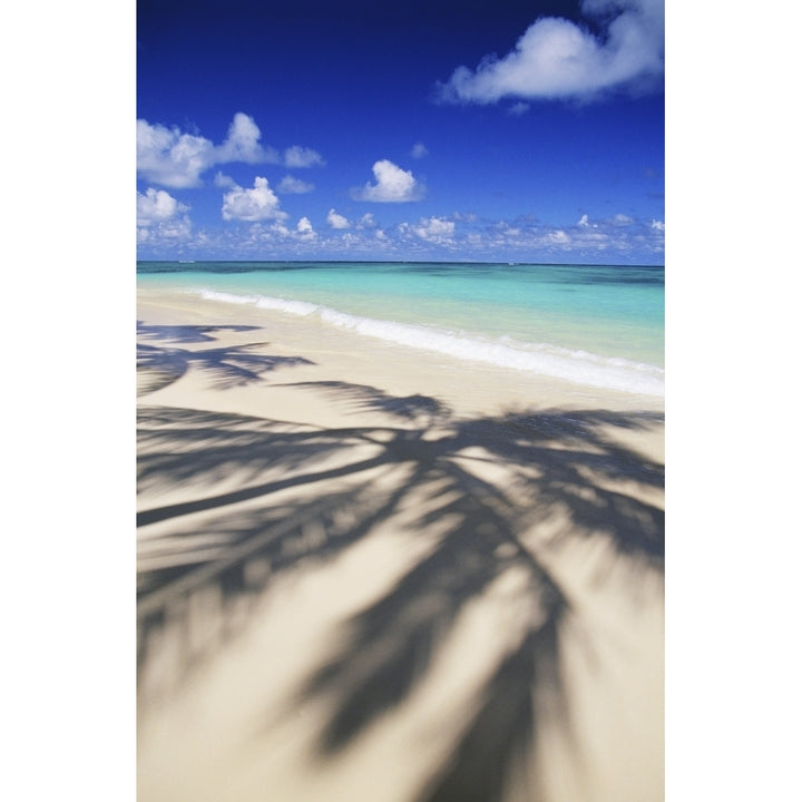 Beach Scene With Palm Shadow On Shoreline Sand Tropical Poster Print Image 1