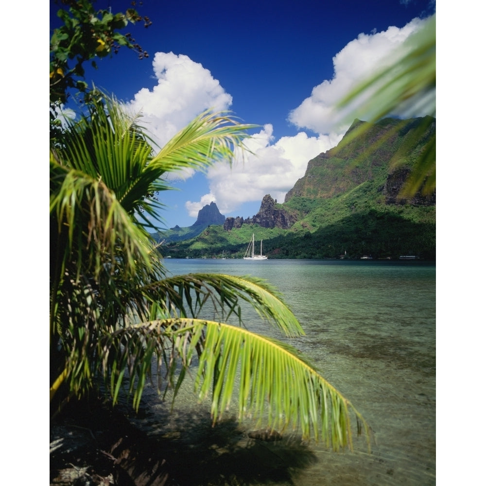 French Polynesia Moorea View From Across Cooks Bay With Sailboat Moored Poster Print Image 2