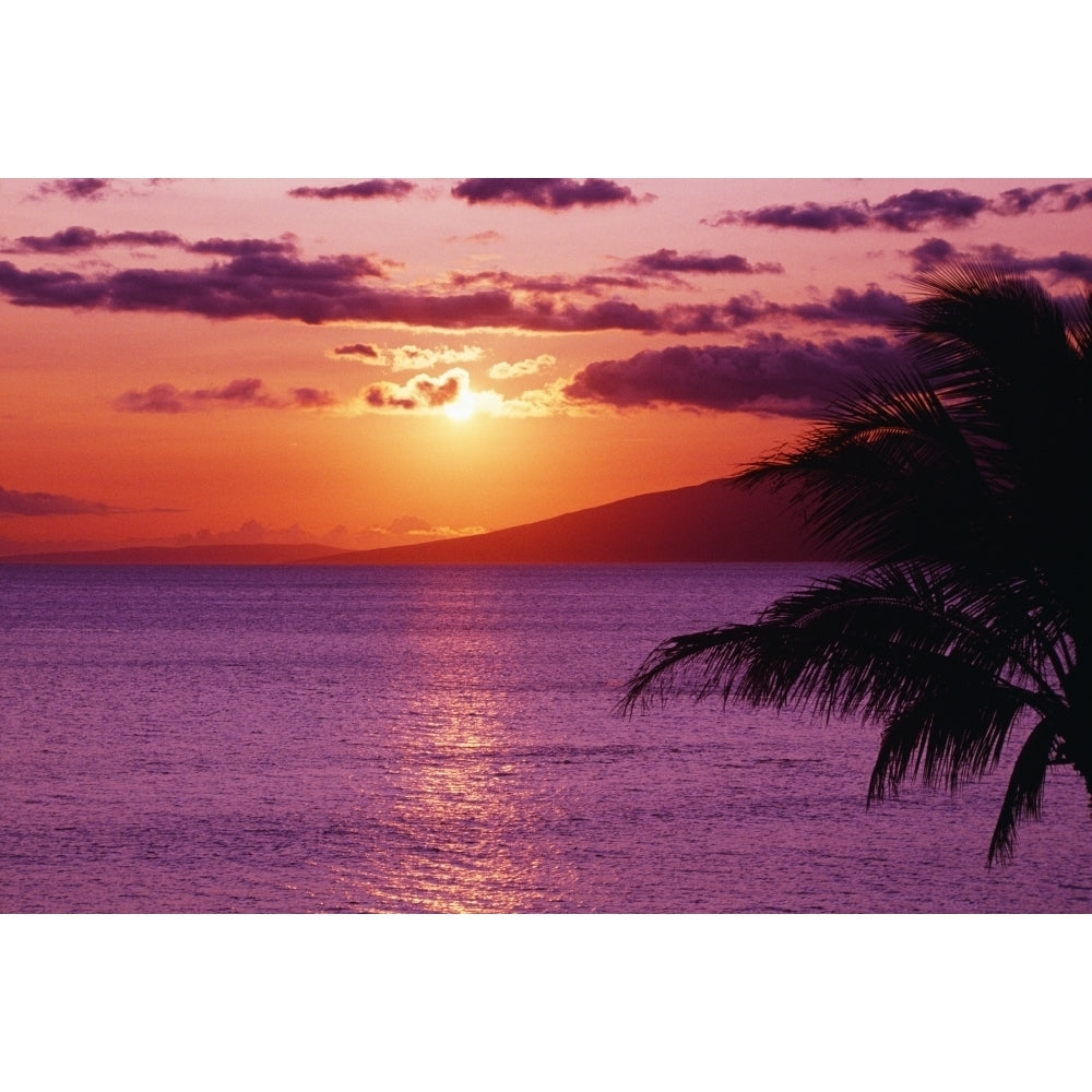 Hawaii Maui Beautiful Tropical Sunset With Palm Tree. Poster Print Image 2