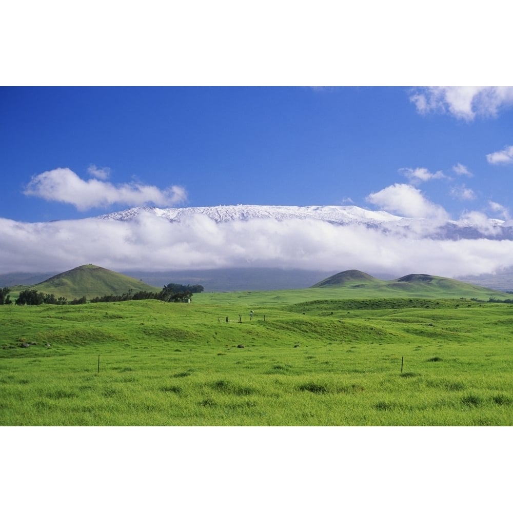 Hawaii Big Island Waimea View Of Snowcapped Mauna Kea From Lush Rolling Hills Below. Poster Print Image 1