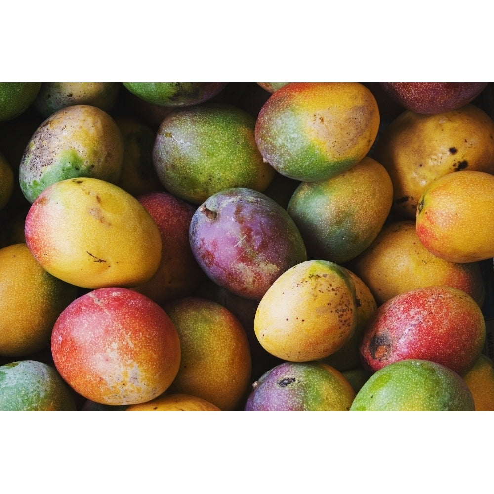 Hawaii Oahu Honolulu Fresh Ripe Mangoes For Sale At Chinatown Market Stall Poster Print Image 1