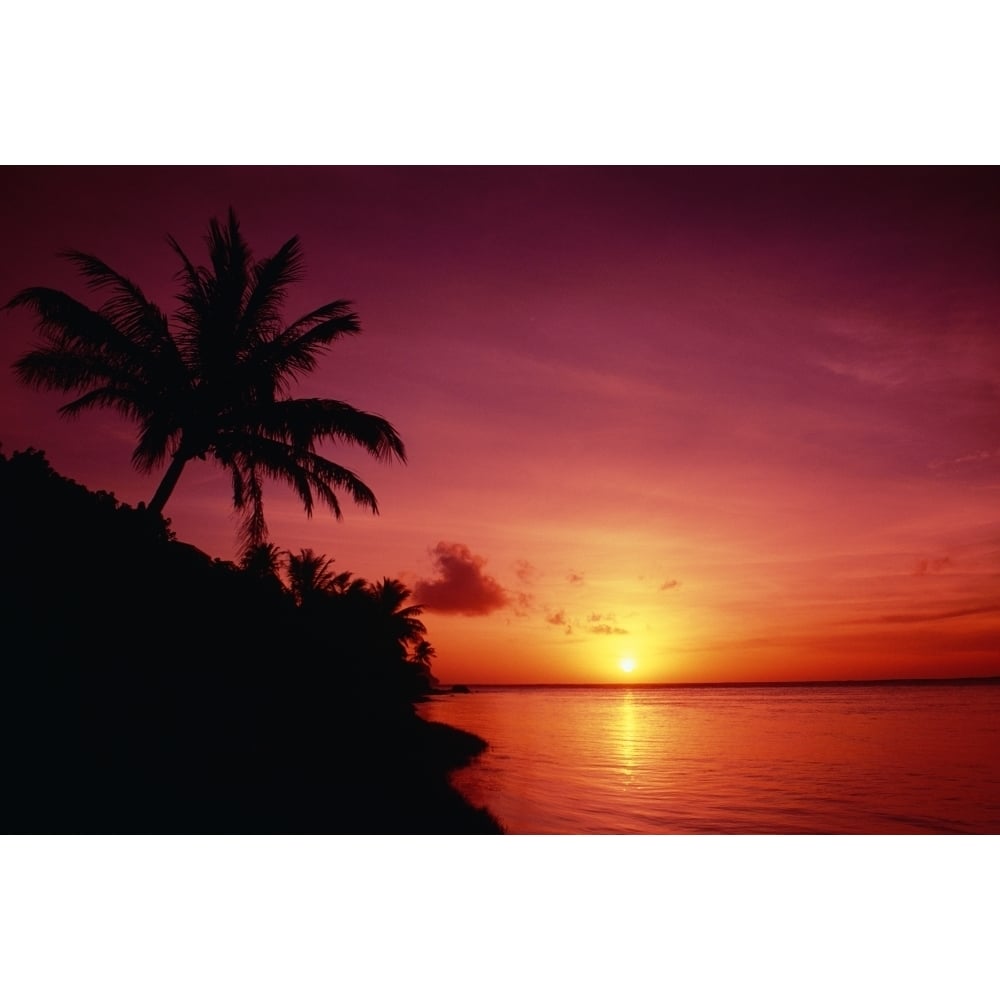 Guam Pago Bay Sunrise And Palm Tree Bright Pink Sky Poster Print Image 1