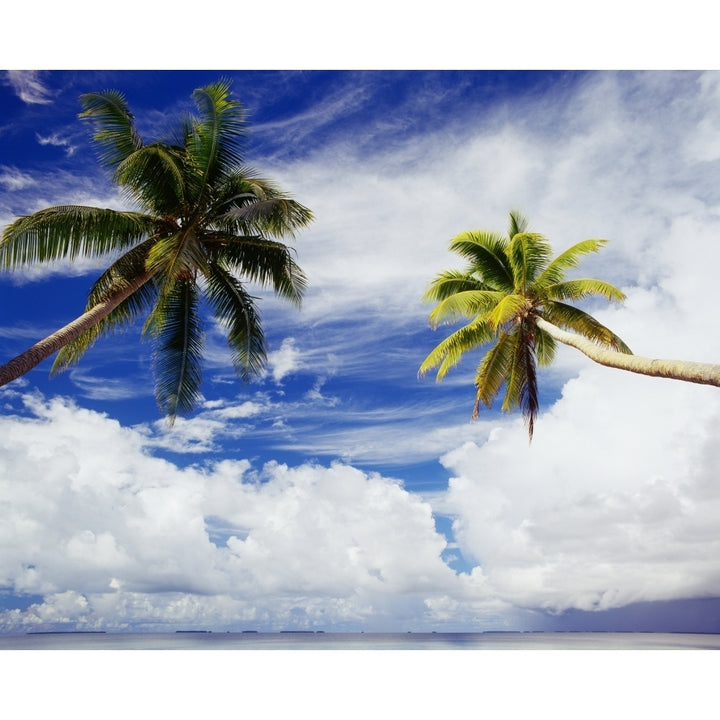 Micronesia Marshall Islands Majuro Atoll Two Coconut Trees Lean Over Lagoon Blue Sky And Clouds Print Image 1