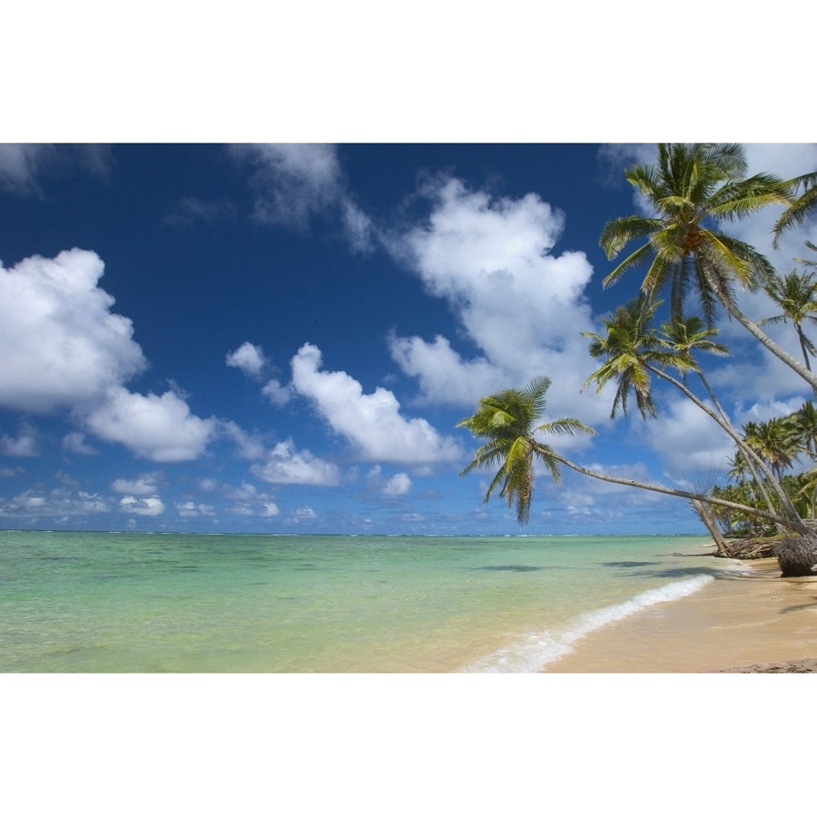 Hawaii Palm Tree Leaning Over Beach Polarized Sky Turquoise Ocean. Poster Print Image 1