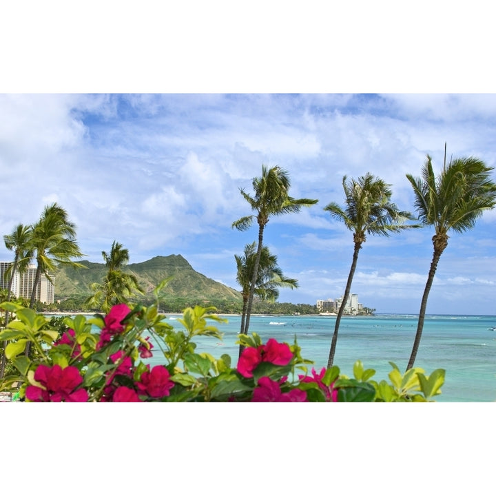 Hawaii Oahu Diamond Head Waikiki Palm Trees And Bougainvillea Foreground. Poster Print Image 1